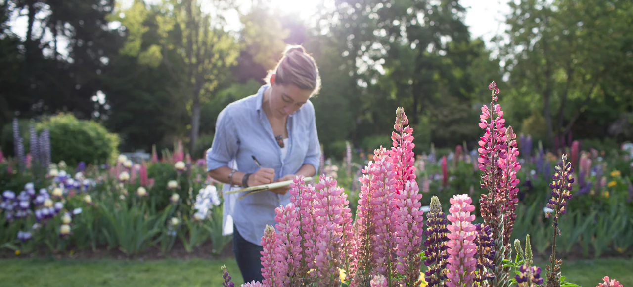 Схема посадки